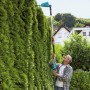 Taille -haies sur perche THS42/18V P4A sans batterie