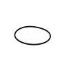 Dichtung für Schlauchanschlüsse Pumpe Badu Easyfit 21/81 68x3,5mm
