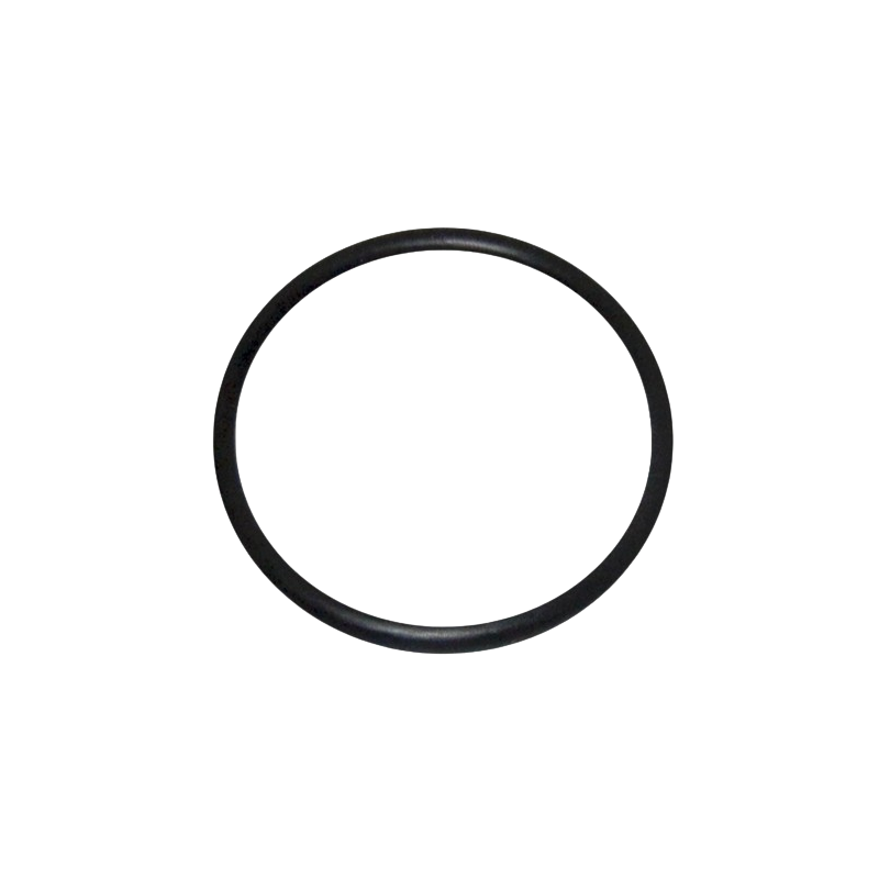 O-Ring Pumpe Sta-Rite Ref RU9226