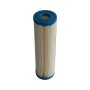 Pleatco Filtereinsatz 50 µm PH6 - Harmsco