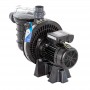 Sta-Rite Duraglas PRC-1 Filterpumpe 0,37 kW 0,5 PS 230 V 9 m³/h Ref. P-STR-051E2