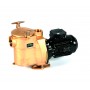 Sta-Rite Bronze Pumpe BRD-3 3/PS 0,55kW 400V