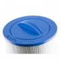 Cartouche SPA Darlly SC701 Filtre Sundance 6540-723 (PJW40-SC / 5CH-402 / FC-2811 / 50403)