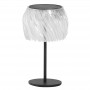 Lampe de table Paloma Alu noir, PETG transparent TDS0004