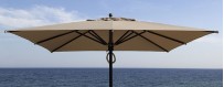 Parasol