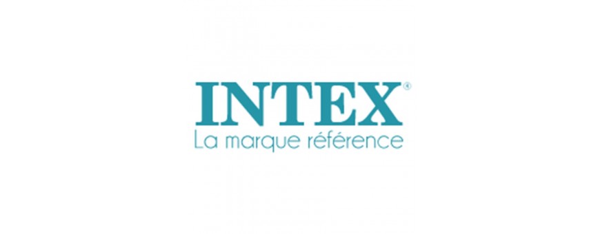 Pièces spa Intex