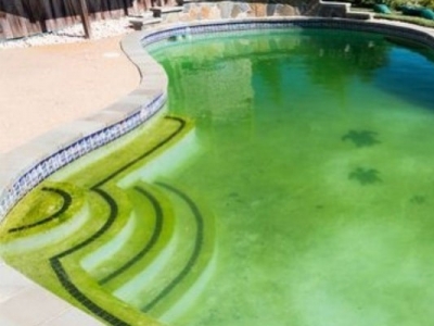 Wie kann man einen grünen Pool wiederherstellen?